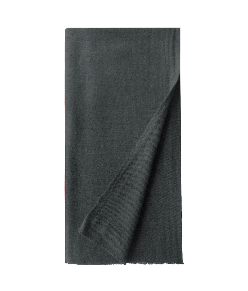 Annapurna Stole