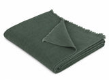 Travel Nomad 1 Ply
